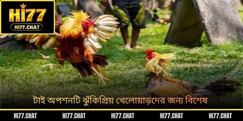 টাই অপশনটি ঝুঁকিপ্রিয় খেলোয়াড়দের জন্য বিশেষ
