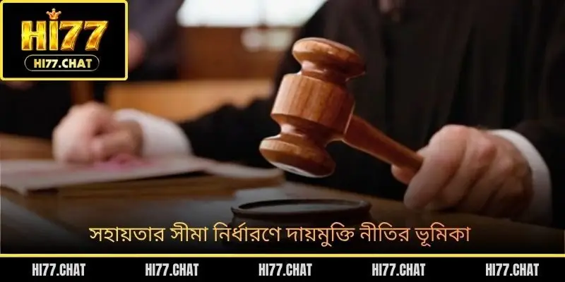 সহায়তার সীমা নির্ধারণে দায়মুক্তি নীতির ভূমিকা
